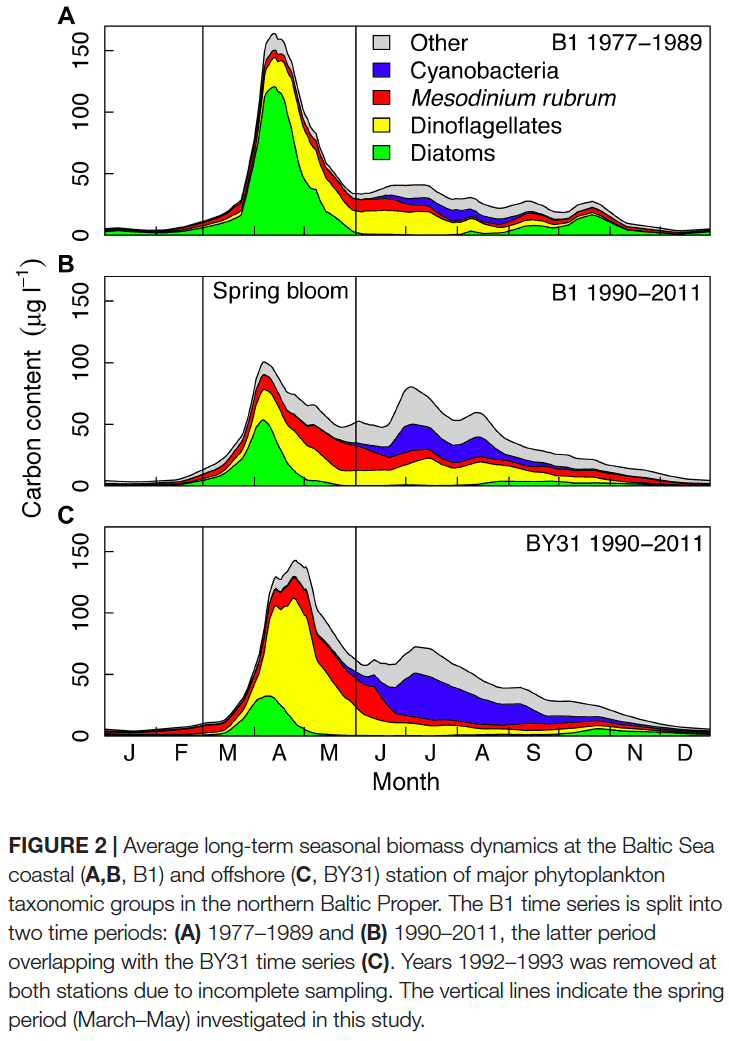 Seasonal biomass dynamics of major phytoplankton groups in the Baltic Sea